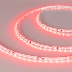 Arlight Лента RT-A120-5mm 24V Red (9.6 W/m, IP20, 2835, 5m) (9.6 Вт/м, IP20)