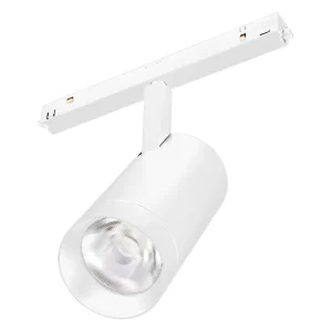 Arlight Светильник MAG-ORIENT-SPOT-R65-20W Warm3000 (WH, 24 deg, 48V) (IP20 Металл, 3 года)