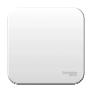 Systeme Electric Blanca наруж Бел Выключатель 1-клавишный с самовозвратом, 10А, 250В, изолир. пластина