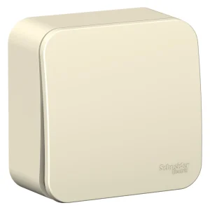 Systeme Electric Blanca наруж Молочный Выключатель 1-клавишный с самовозвратом, 10А, 250В, изолир. пластина