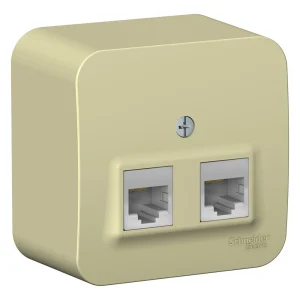 Systeme Electric Blanca наруж Беж Розетка 2-ая компьютерная RJ45, кат.5E, изолир. пластина