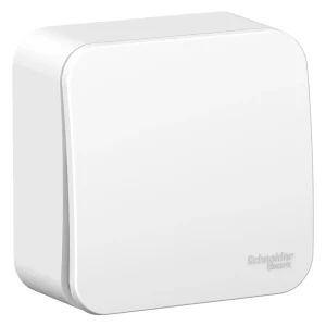 Systeme Electric Blanca наруж Бел Выключатель 1-клавишный 6А, 250В, монтажная пластина