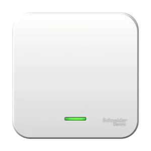 Systeme Electric Blanca наруж Бел Выключатель 1-клавишный с подсветкой, 6А, 250В, монтажная пластина