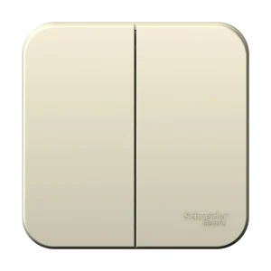Systeme Electric Blanca наруж Молочный Выключатель 2-клавишный, 6А, 250В