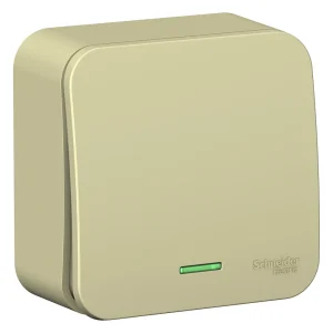 Systeme Electric Blanca наруж Беж Выключатель 1-клавишный (cх.1) с подсветкой, изолир. пластина 10А,250B