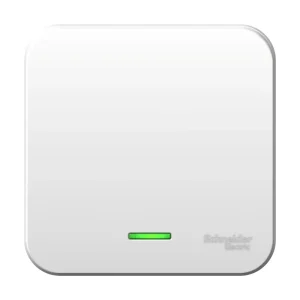 Systeme Electric Blanca наруж Бел Выключатель 1-клавишный с подсветкой, 10А, 250B, монтажная пластина