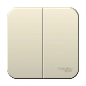 Systeme Electric Blanca наруж Молочный Выключатель 2-клавишный, 10А, 250B