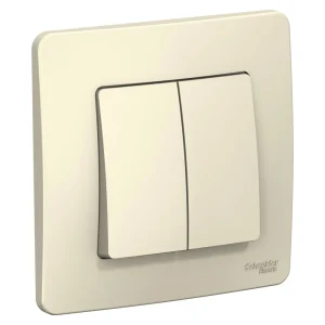 Systeme Electric Blanca внутр Молочный Выключатель 2-клавишный, 10А, 250B