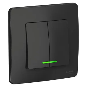 Systeme Electric Blanca внутр Антрацит Выключатель 2-клавишный с подсветкой, 10А, 250B